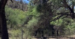 La Casa de Campo – Bioconstrucción y Confort Natural- GRAN OPORTUNIDAD!