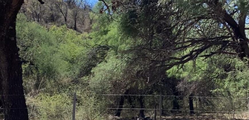 La Casa de Campo – Bioconstrucción y Confort Natural- GRAN OPORTUNIDAD!