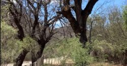 La Casa de Campo – Bioconstrucción y Confort Natural- GRAN OPORTUNIDAD!