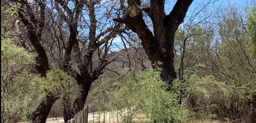 La Casa de Campo – Bioconstrucción y Confort Natural- GRAN OPORTUNIDAD!