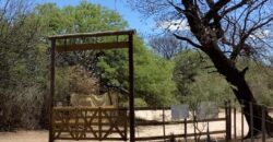 La Casa de Campo – Bioconstrucción y Confort Natural- GRAN OPORTUNIDAD!