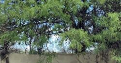 La Casa de Campo – Bioconstrucción y Confort Natural- GRAN OPORTUNIDAD!