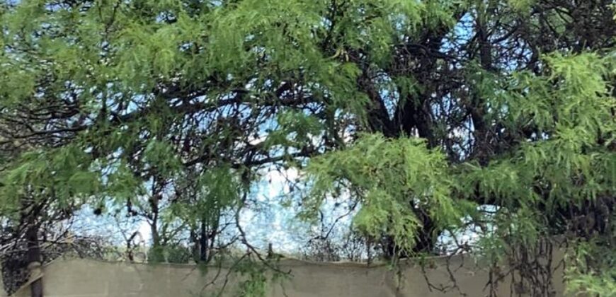 La Casa de Campo – Bioconstrucción y Confort Natural- GRAN OPORTUNIDAD!