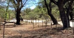 La Casa de Campo – Bioconstrucción y Confort Natural- GRAN OPORTUNIDAD!