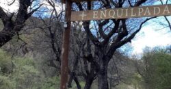 La Casa de Campo – Bioconstrucción y Confort Natural- GRAN OPORTUNIDAD!