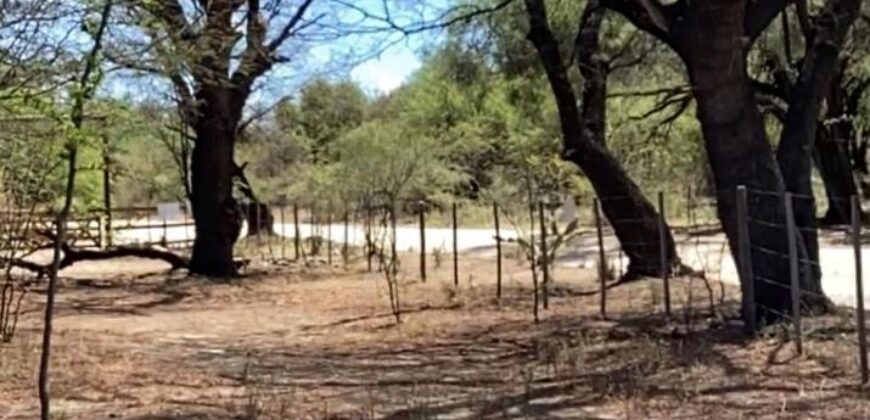 La Casa de Campo – Bioconstrucción y Confort Natural- GRAN OPORTUNIDAD!