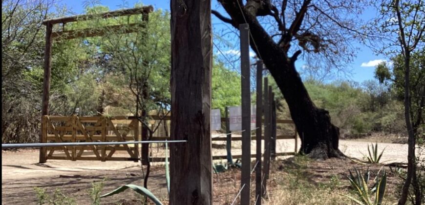 La Casa de Campo – Bioconstrucción y Confort Natural- GRAN OPORTUNIDAD!