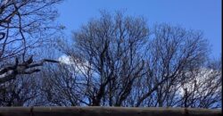 La Casa de Campo – Bioconstrucción y Confort Natural- GRAN OPORTUNIDAD!