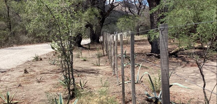 La Casa de Campo – Bioconstrucción y Confort Natural- GRAN OPORTUNIDAD!
