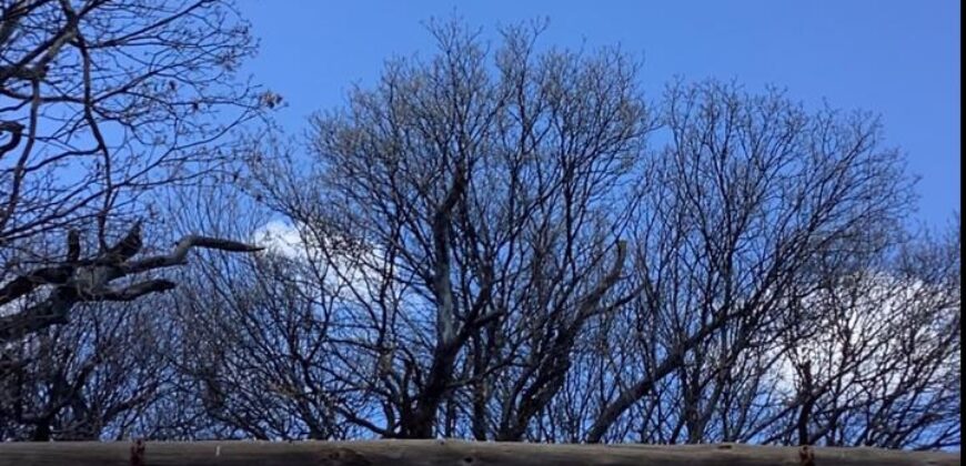 La Casa de Campo – Bioconstrucción y Confort Natural- GRAN OPORTUNIDAD!