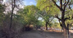 La Casa de Campo – Bioconstrucción y Confort Natural- GRAN OPORTUNIDAD!