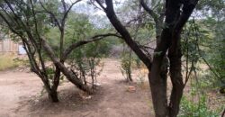 La Casa de Campo – Bioconstrucción y Confort Natural- GRAN OPORTUNIDAD!