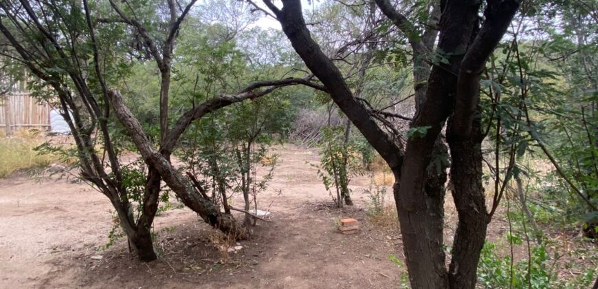 La Casa de Campo – Bioconstrucción y Confort Natural- GRAN OPORTUNIDAD!