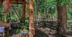 SE VENDE HERMOSO COMPLEJO CON CASA PRINCIPAL+DEPARTAMENTO+DOMO+PILETA