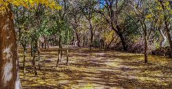 SE VENDE HERMOSO COMPLEJO CON CASA PRINCIPAL+DEPARTAMENTO+DOMO+PILETA