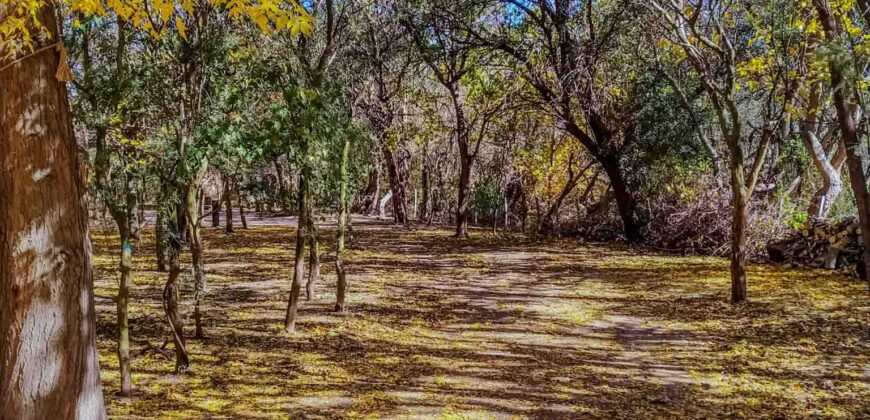 SE VENDE HERMOSO COMPLEJO CON CASA PRINCIPAL+DEPARTAMENTO+DOMO+PILETA