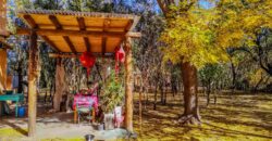 SE VENDE HERMOSO COMPLEJO CON CASA PRINCIPAL+DEPARTAMENTO+DOMO+PILETA