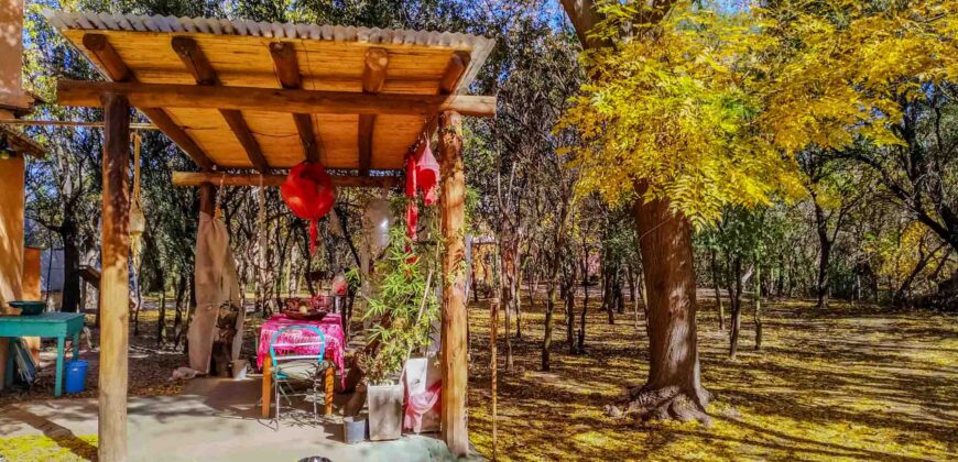 SE VENDE HERMOSO COMPLEJO CON CASA PRINCIPAL+DEPARTAMENTO+DOMO+PILETA