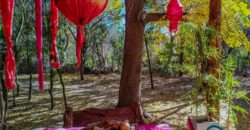 SE VENDE HERMOSO COMPLEJO CON CASA PRINCIPAL+DEPARTAMENTO+DOMO+PILETA