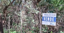 SE VENDE 1 HECTAREA EN LA BANDA A 3km DEL PUEBLO CON ESCRITURA