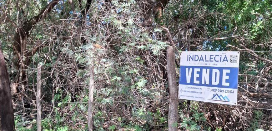 SE VENDE 1 HECTAREA EN LA BANDA A 3km DEL PUEBLO CON ESCRITURA