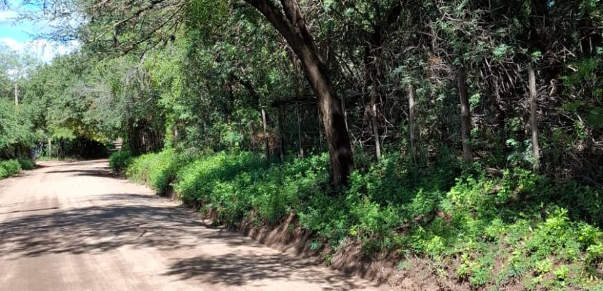 SE VENDE 1 HECTAREA EN LA BANDA A 3km DEL PUEBLO CON ESCRITURA
