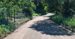 SE VENDE 1 HECTAREA EN LA BANDA A 3km DEL PUEBLO CON ESCRITURA