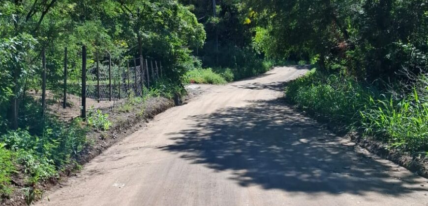 SE VENDE 1 HECTAREA EN LA BANDA A 3km DEL PUEBLO CON ESCRITURA