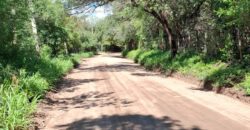 SE VENDE 1 HECTAREA EN LA BANDA A 3km DEL PUEBLO CON ESCRITURA