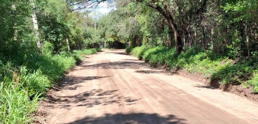 SE VENDE 1 HECTAREA EN LA BANDA A 3km DEL PUEBLO CON ESCRITURA