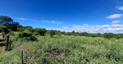 SE VENDE 1 HECTAREA EN LA BANDA A 3km DEL PUEBLO CON ESCRITURA