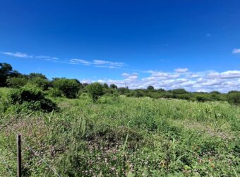 SE VENDE 1 HECTAREA EN LA BANDA A 3km DEL PUEBLO CON ESCRITURA