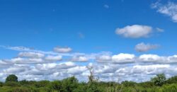 SE VENDE 1 HECTAREA EN LA BANDA A 3km DEL PUEBLO CON ESCRITURA