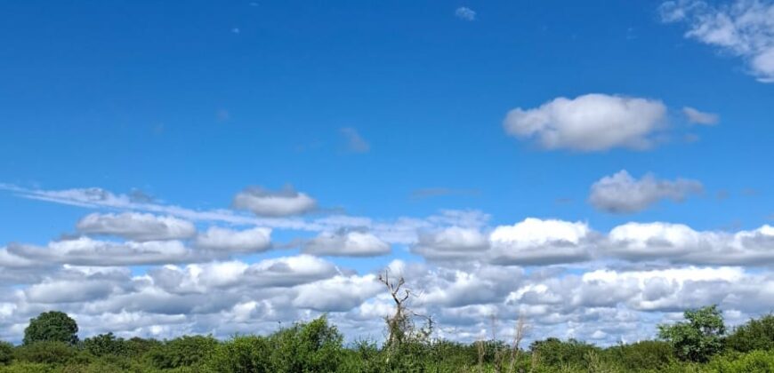 SE VENDE 1 HECTAREA EN LA BANDA A 3km DEL PUEBLO CON ESCRITURA