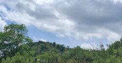 GRAN OPORTUNIDAD – TERRENO DE 2500m2 A 500mts. DE LA PLAZA