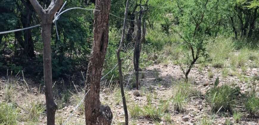 GRAN OPORTUNIDAD – TERRENO DE 2500m2 A 500mts. DE LA PLAZA