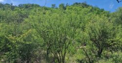 GRAN OPORTUNIDAD – TERRENO DE 2500m2 A 500mts. DE LA PLAZA