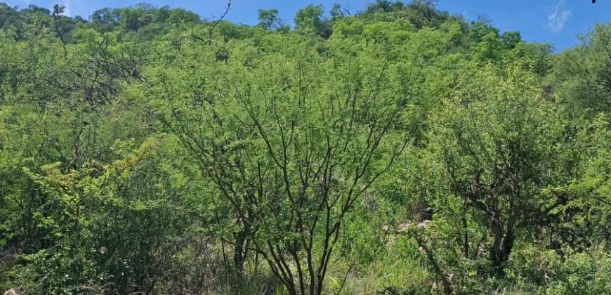 GRAN OPORTUNIDAD – TERRENO DE 2500m2 A 500mts. DE LA PLAZA