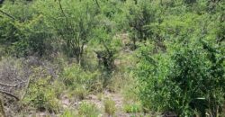 GRAN OPORTUNIDAD – TERRENO DE 2500m2 A 500mts. DE LA PLAZA