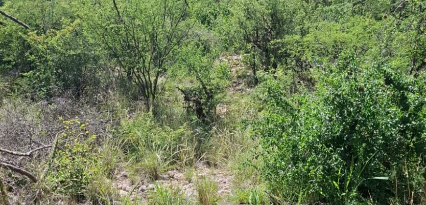 GRAN OPORTUNIDAD – TERRENO DE 2500m2 A 500mts. DE LA PLAZA