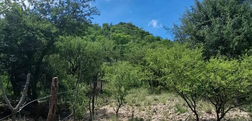 GRAN OPORTUNIDAD – TERRENO DE 2500m2 A 500mts. DE LA PLAZA