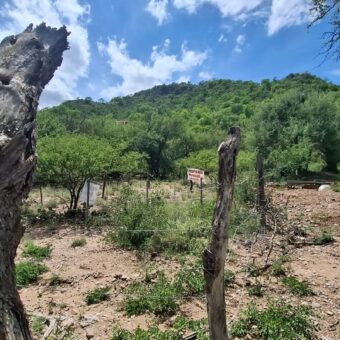 GRAN OPORTUNIDAD – TERRENO DE 2500m2 A 500mts. DE LA PLAZA