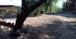 CABAÑA DE MADERA EN LA LOMA- TRES DORMITORIOS