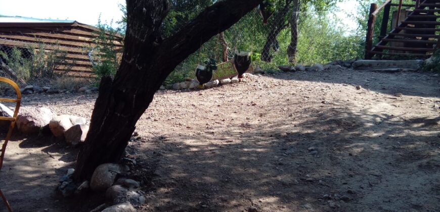 CABAÑA DE MADERA EN LA LOMA- TRES DORMITORIOS