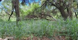 TERRENO EN LAS GRAMILLAS- 4000m2 CON PILAR DE LUZ