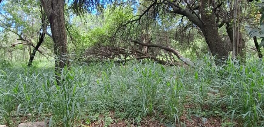 TERRENO EN LAS GRAMILLAS- 4000m2 CON PILAR DE LUZ
