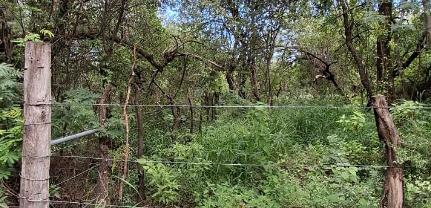 TERRENO EN LAS GRAMILLAS- 4000m2 CON PILAR DE LUZ