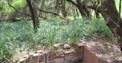 TERRENO EN LAS GRAMILLAS- 4000m2 CON PILAR DE LUZ