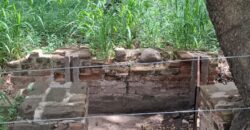 TERRENO EN LAS GRAMILLAS- 4000m2 CON PILAR DE LUZ