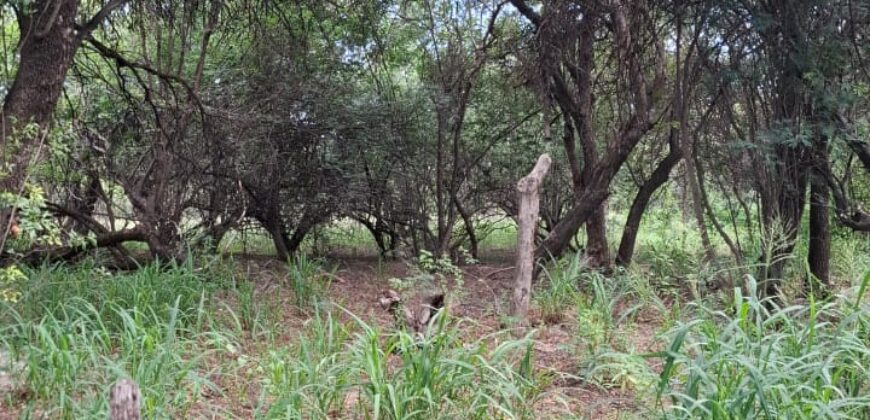 TERRENO EN LAS GRAMILLAS- 4000m2 CON PILAR DE LUZ